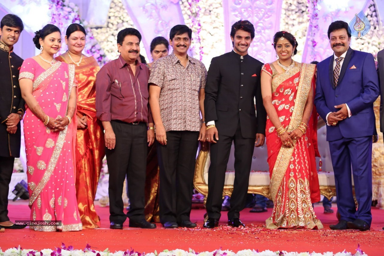 Aadi and Aruna Wedding Reception 03 - 208 / 235 photos