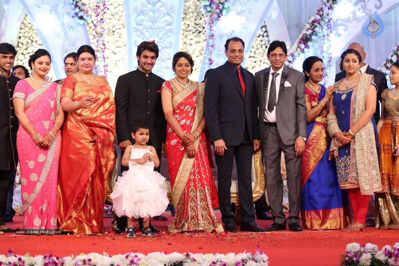 Aadi and Aruna Wedding Reception 03 - 209 / 235 photos