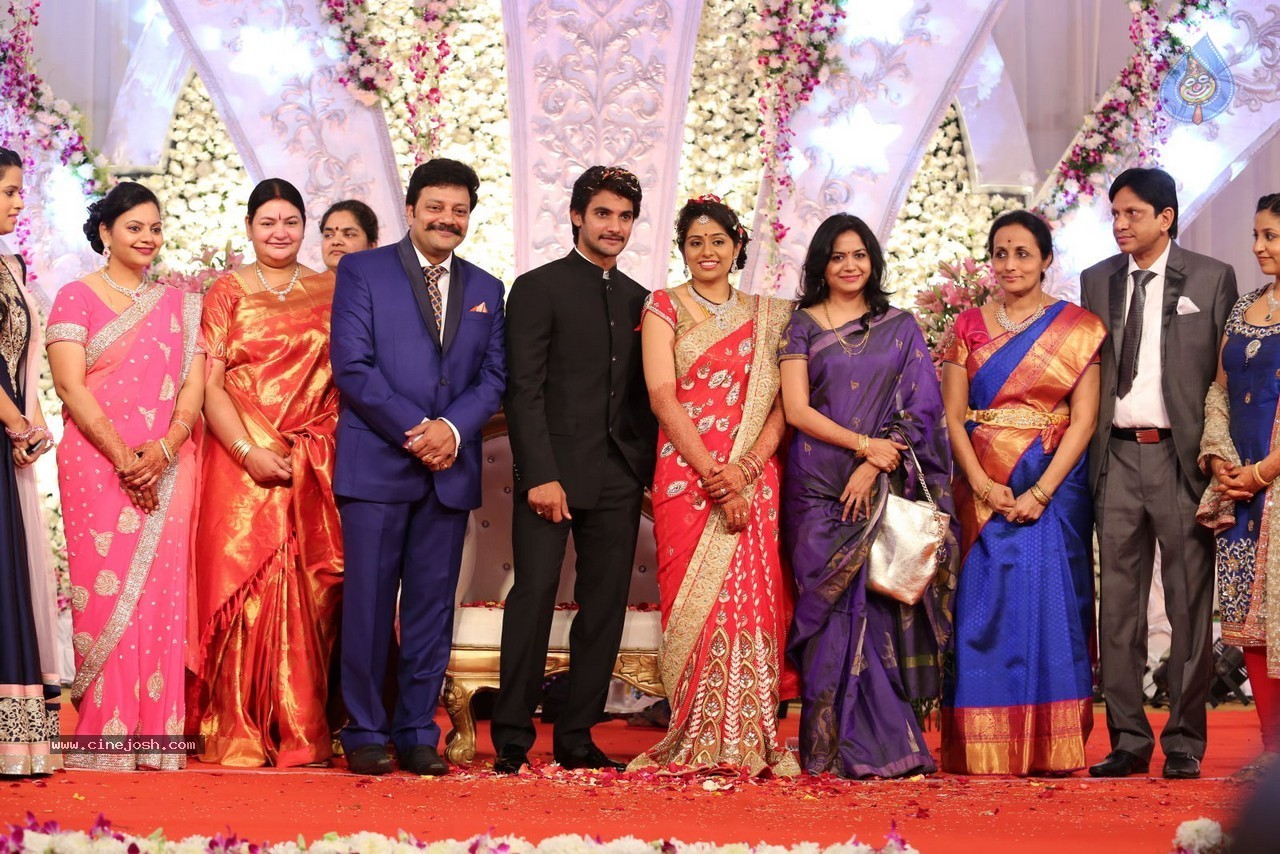 Aadi and Aruna Wedding Reception 03 - 215 / 235 photos