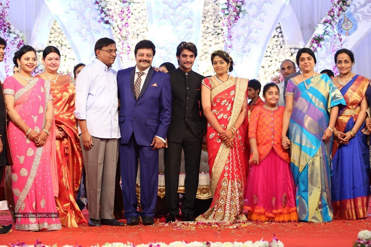 Aadi and Aruna Wedding Reception 03 - 229 / 235 photos