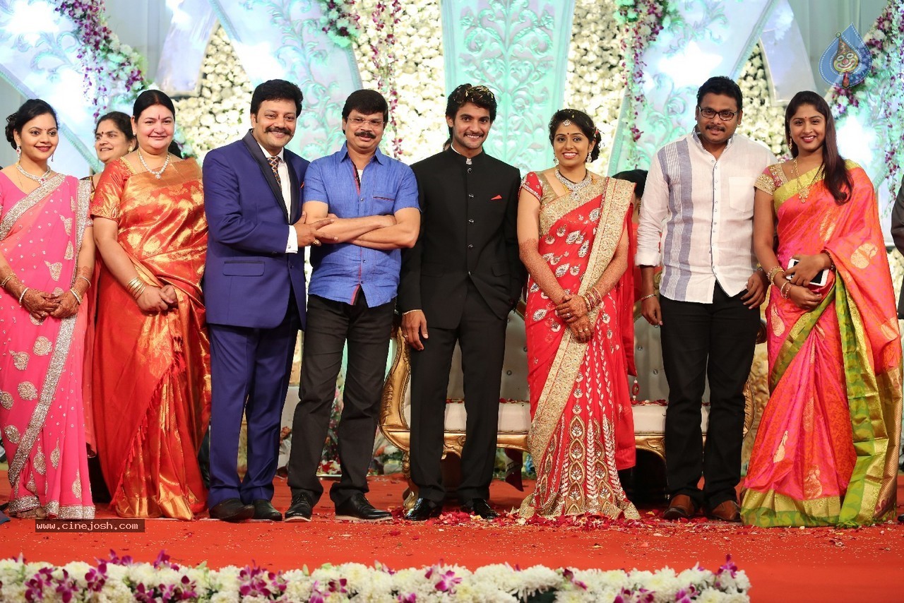 Aadi and Aruna Wedding Reception 04 - 2 / 49 photos