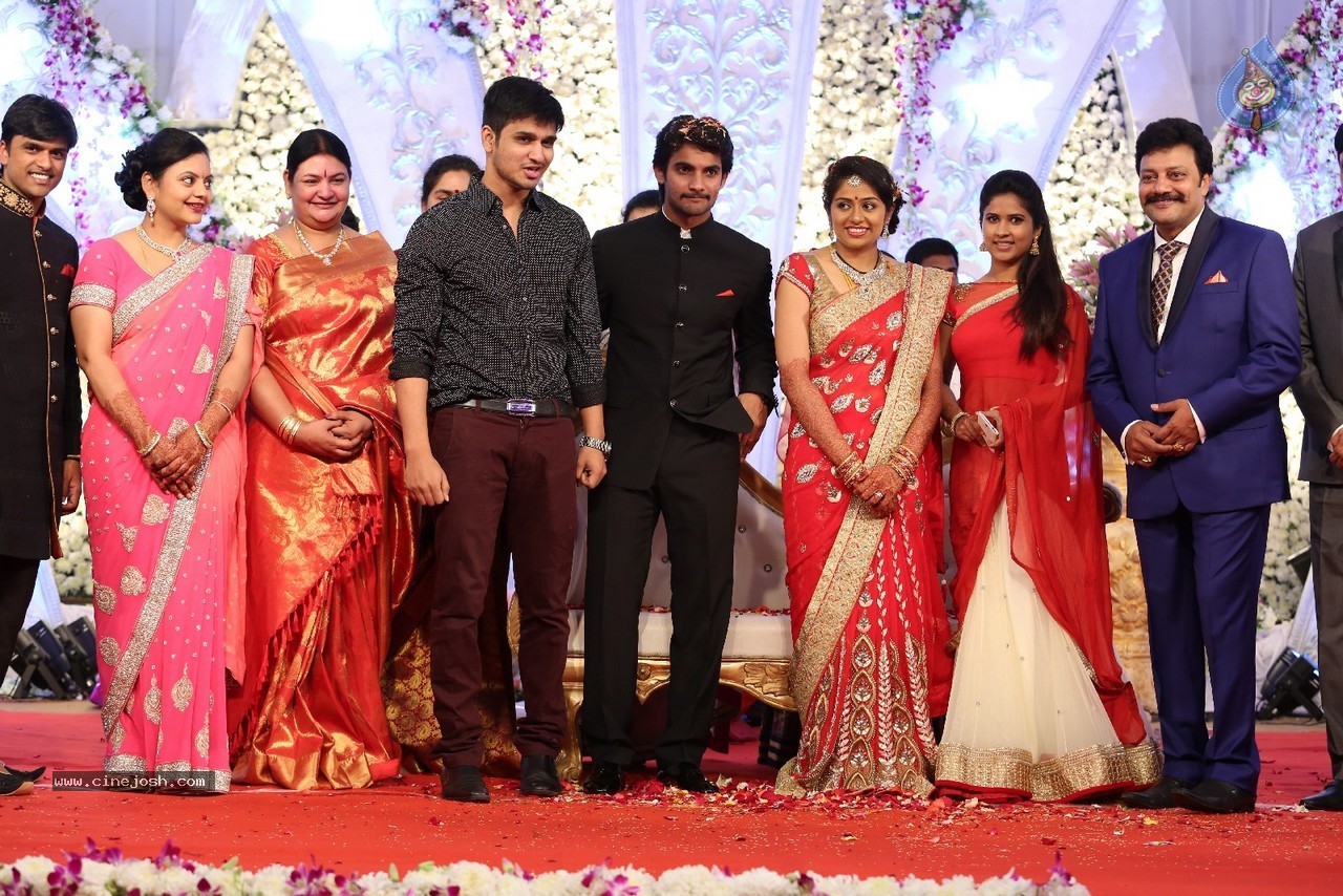 Aadi and Aruna Wedding Reception 04 - 8 / 49 photos