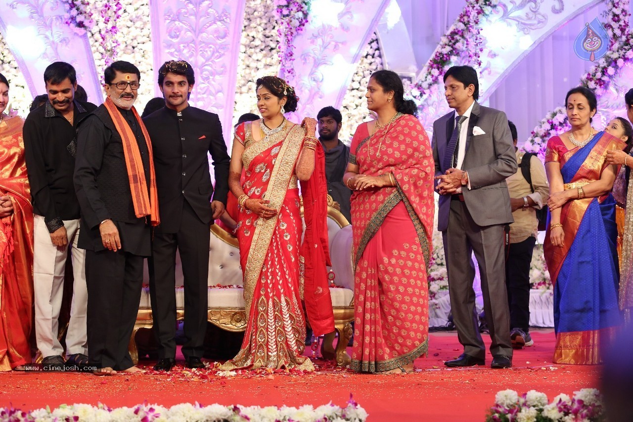 Aadi and Aruna Wedding Reception 04 - 17 / 49 photos