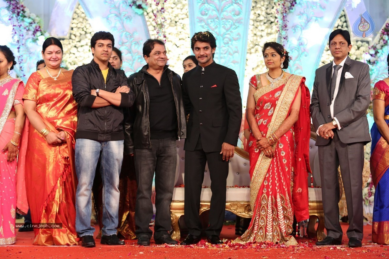 Aadi and Aruna Wedding Reception 04 - 20 / 49 photos
