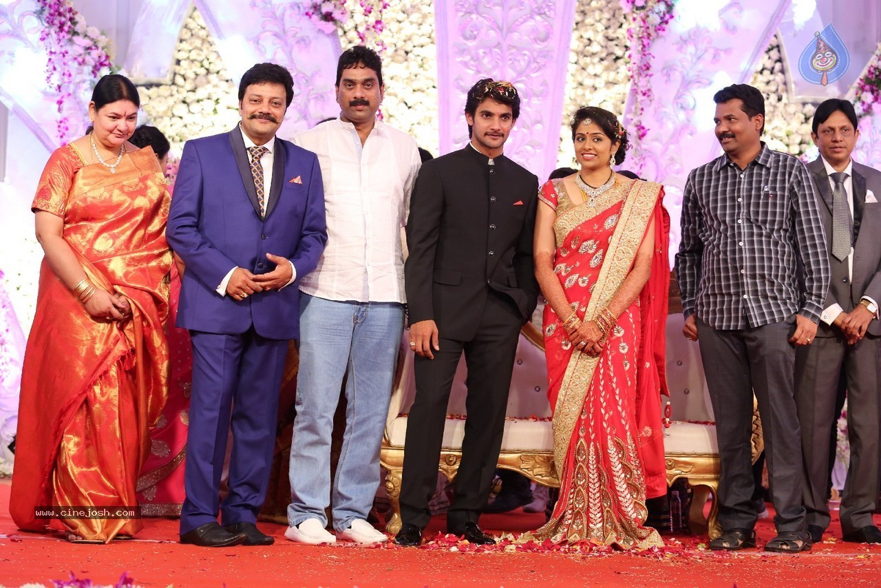 Aadi and Aruna Wedding Reception 04 - 21 / 49 photos