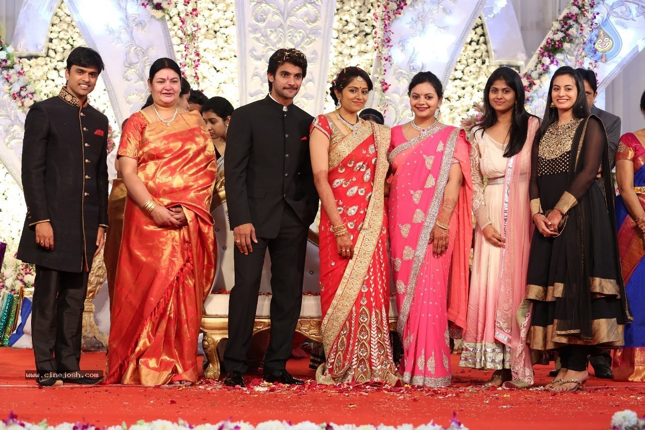 Aadi and Aruna Wedding Reception 04 - 22 / 49 photos