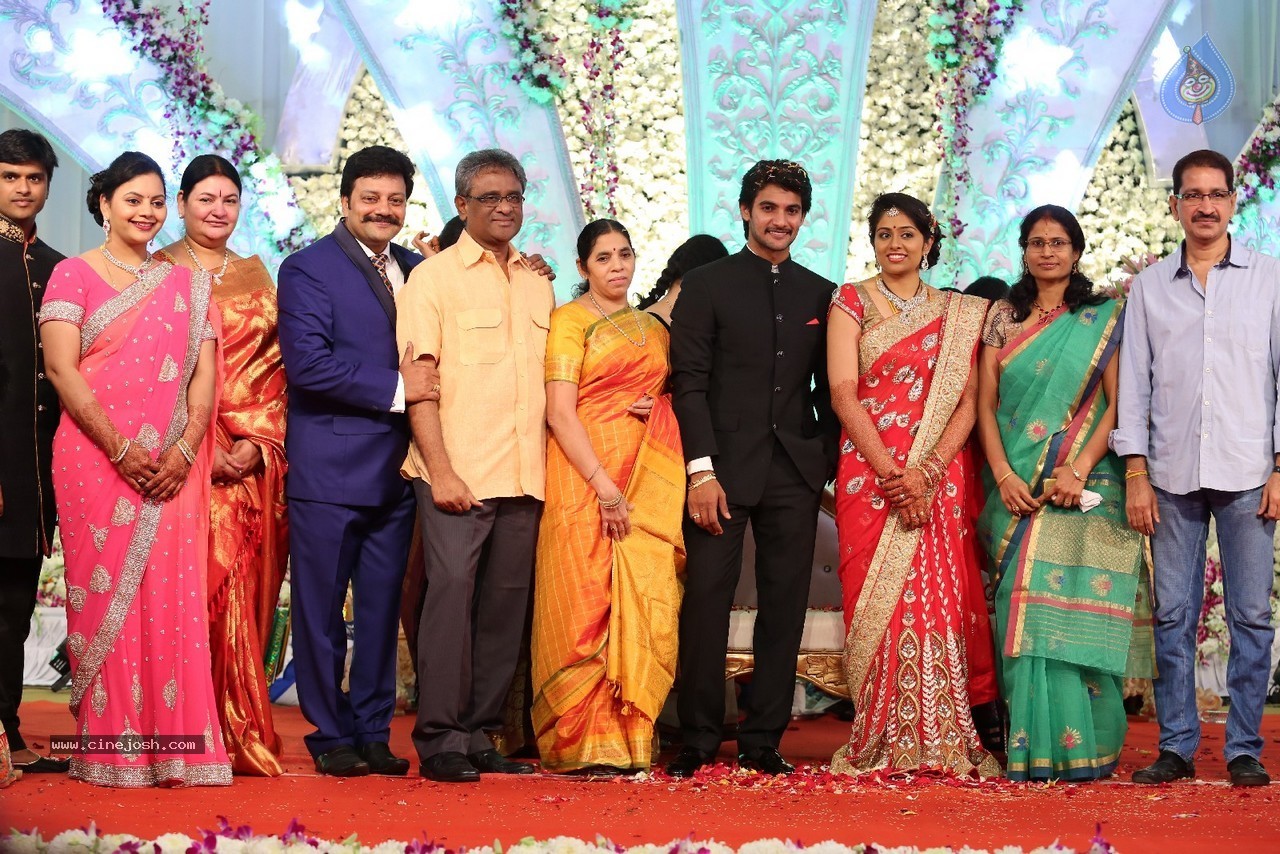 Aadi and Aruna Wedding Reception 04 - 26 / 49 photos