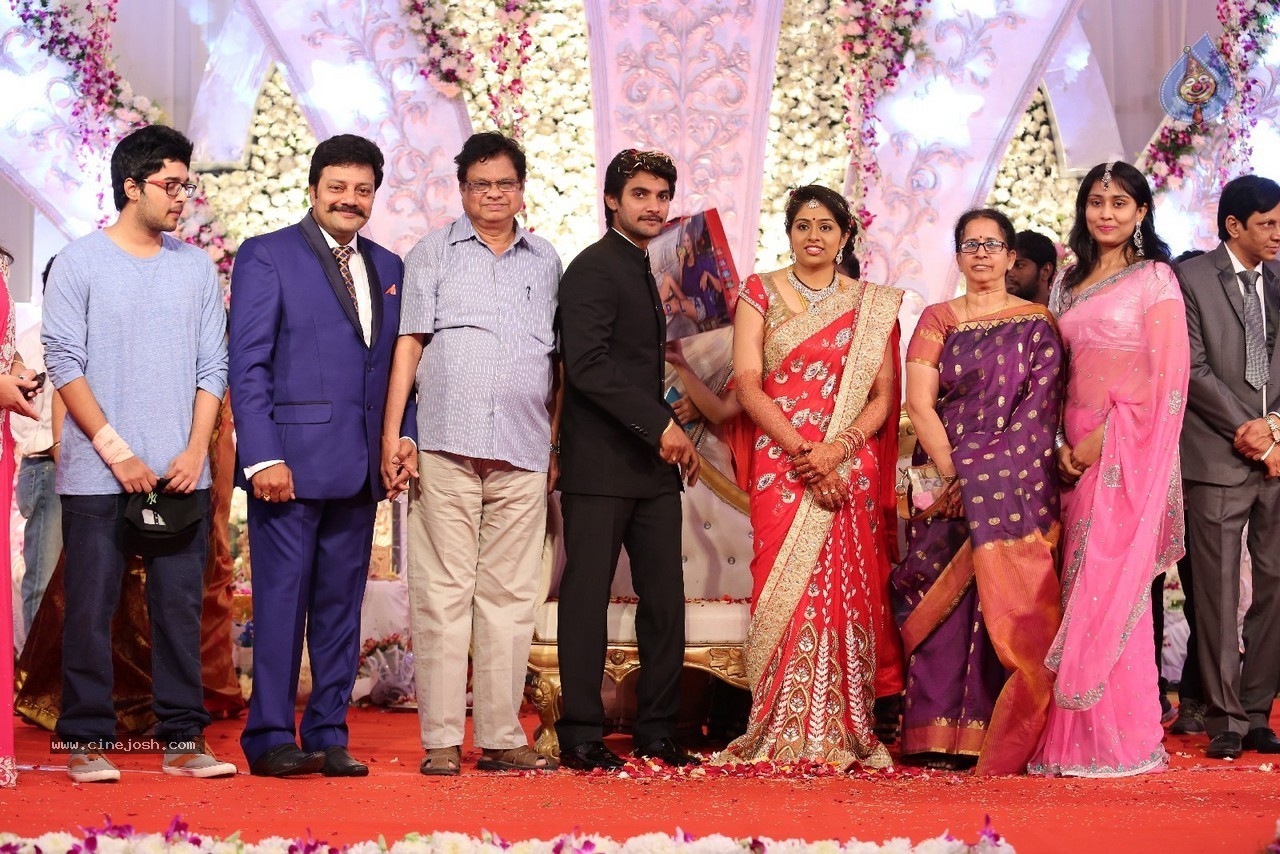 Aadi and Aruna Wedding Reception 04 - 37 / 49 photos