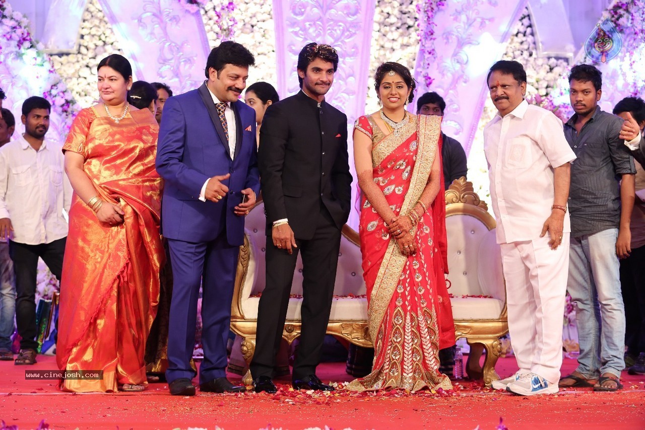 Aadi and Aruna Wedding Reception 04 - 44 / 49 photos