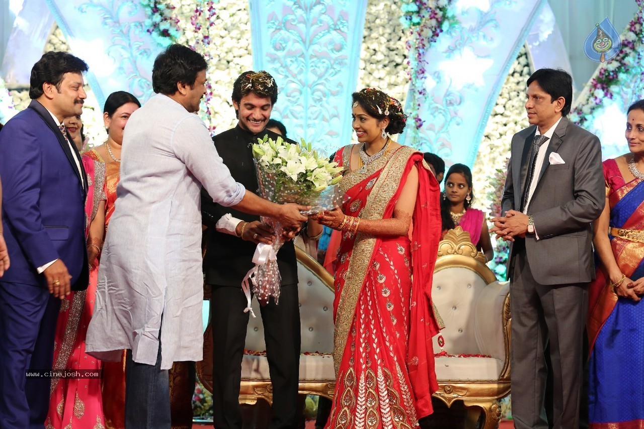 Aadi and Aruna Wedding Reception 04 - 46 / 49 photos
