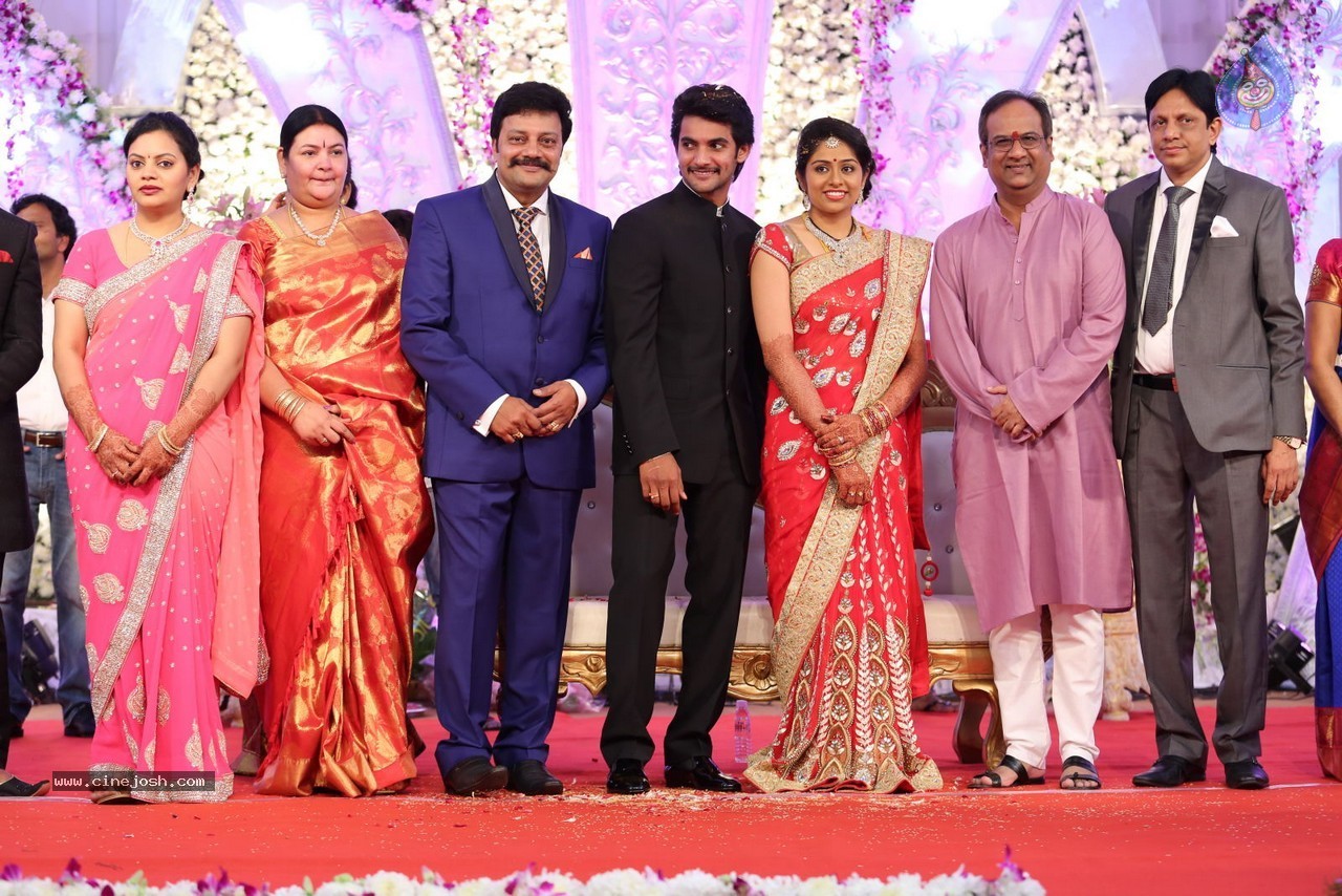 Aadi and Aruna Wedding Reception 02 - 2 / 170 photos