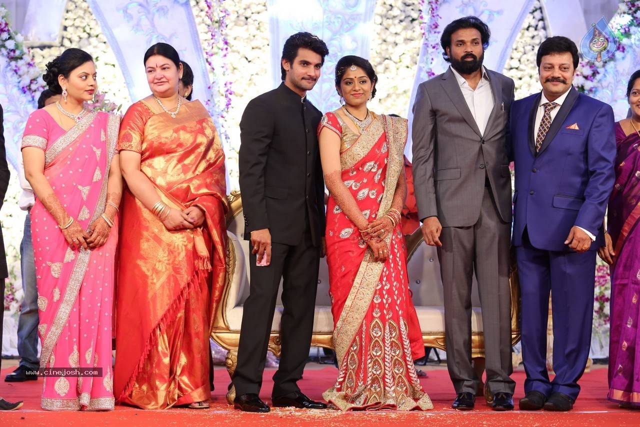 Aadi and Aruna Wedding Reception 02 - 4 / 170 photos