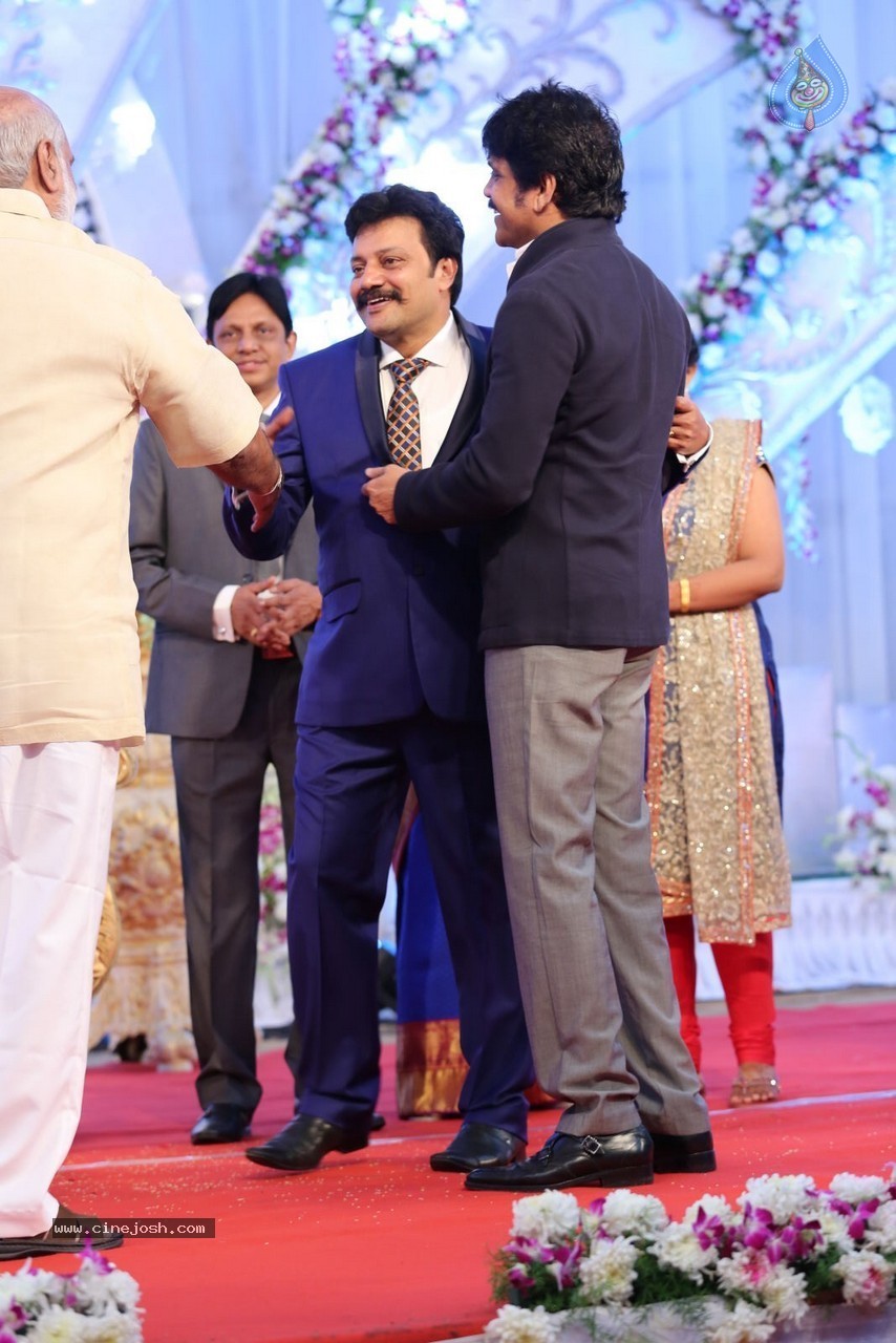 Aadi and Aruna Wedding Reception 02 - 8 / 170 photos