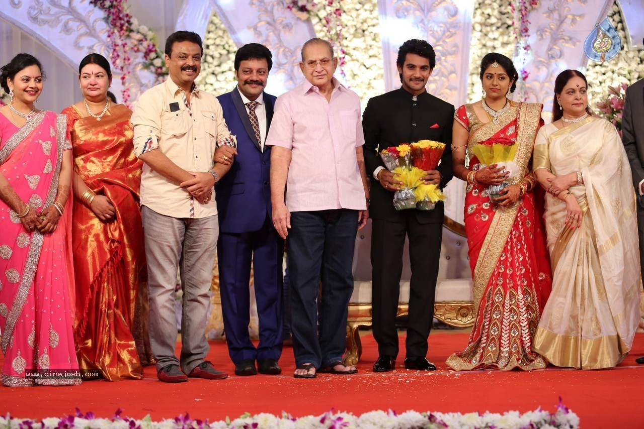 Aadi and Aruna Wedding Reception 02 - 9 / 170 photos