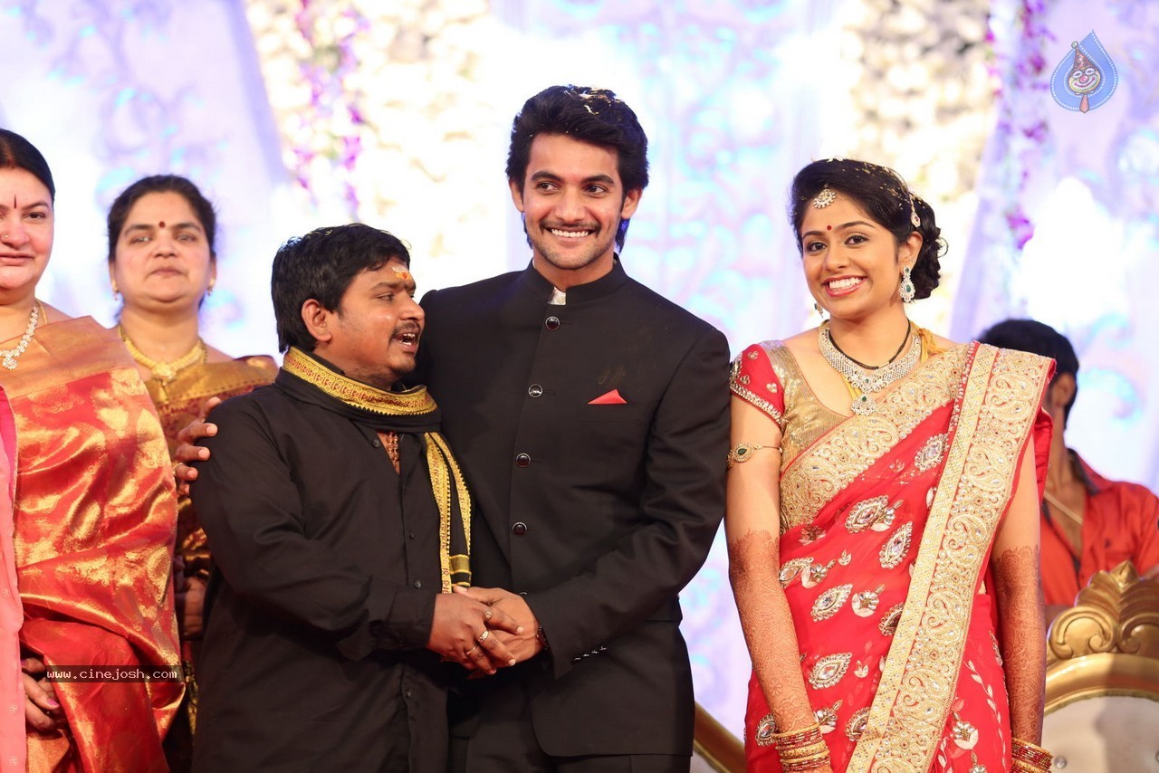 Aadi and Aruna Wedding Reception 02 - 11 / 170 photos