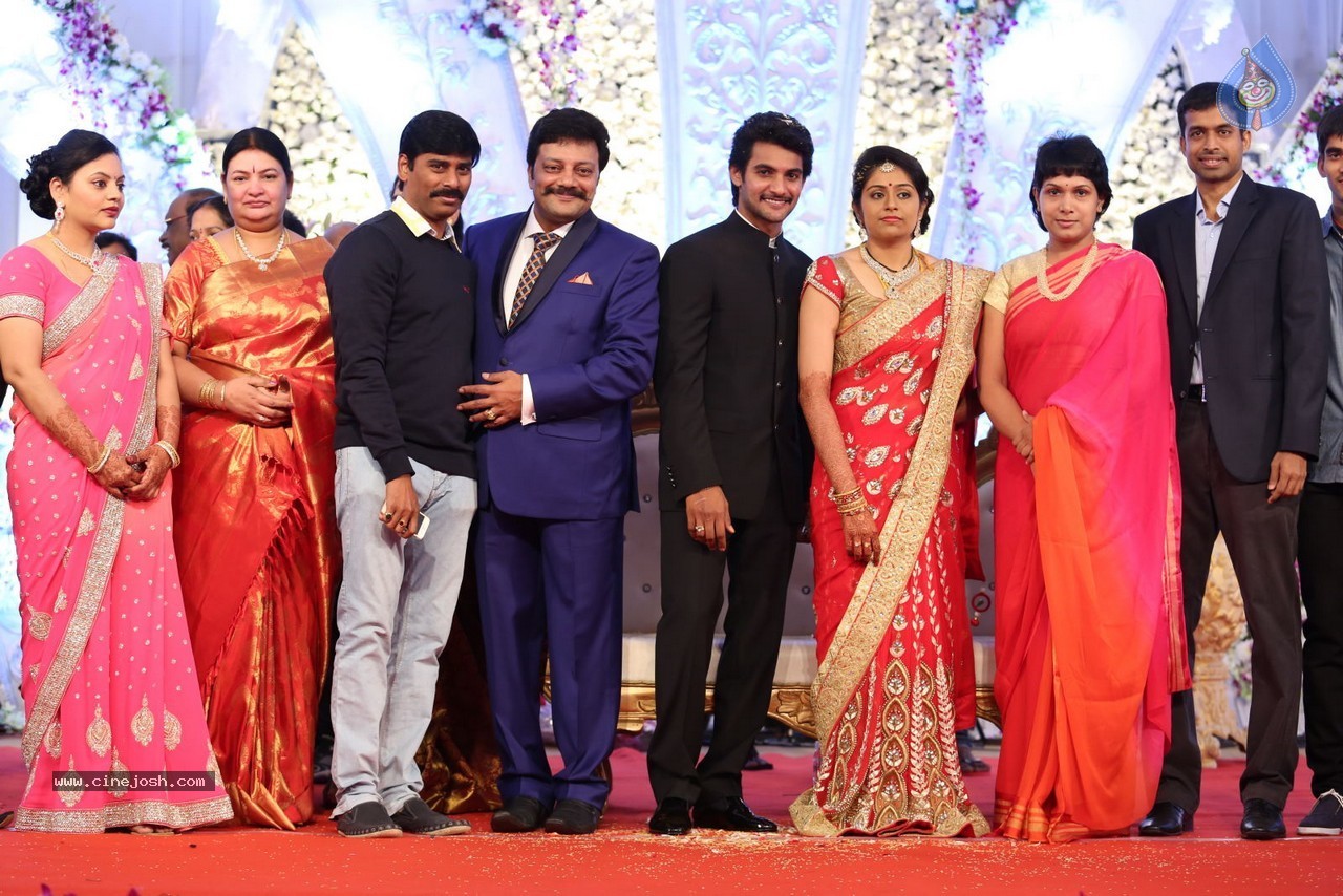 Aadi and Aruna Wedding Reception 02 - 12 / 170 photos