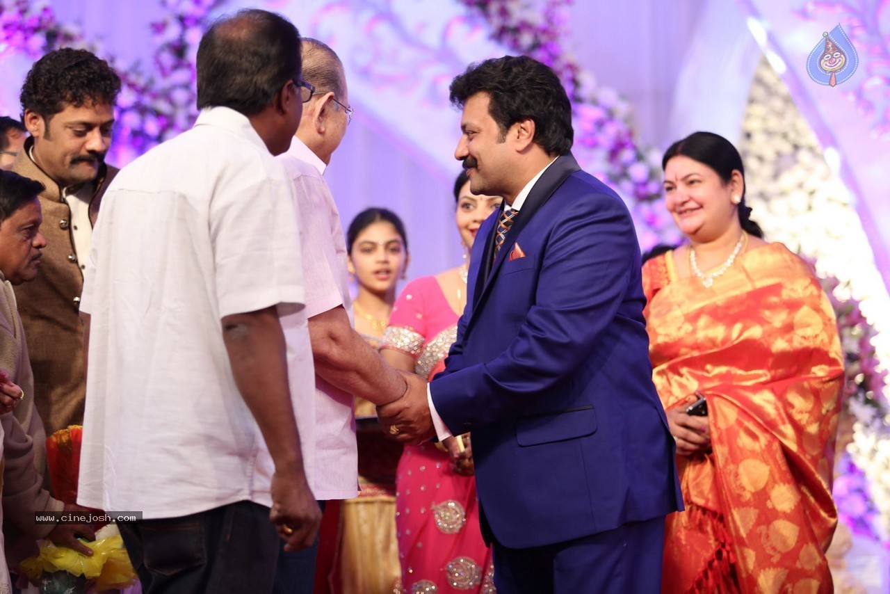 Aadi and Aruna Wedding Reception 02 - 13 / 170 photos