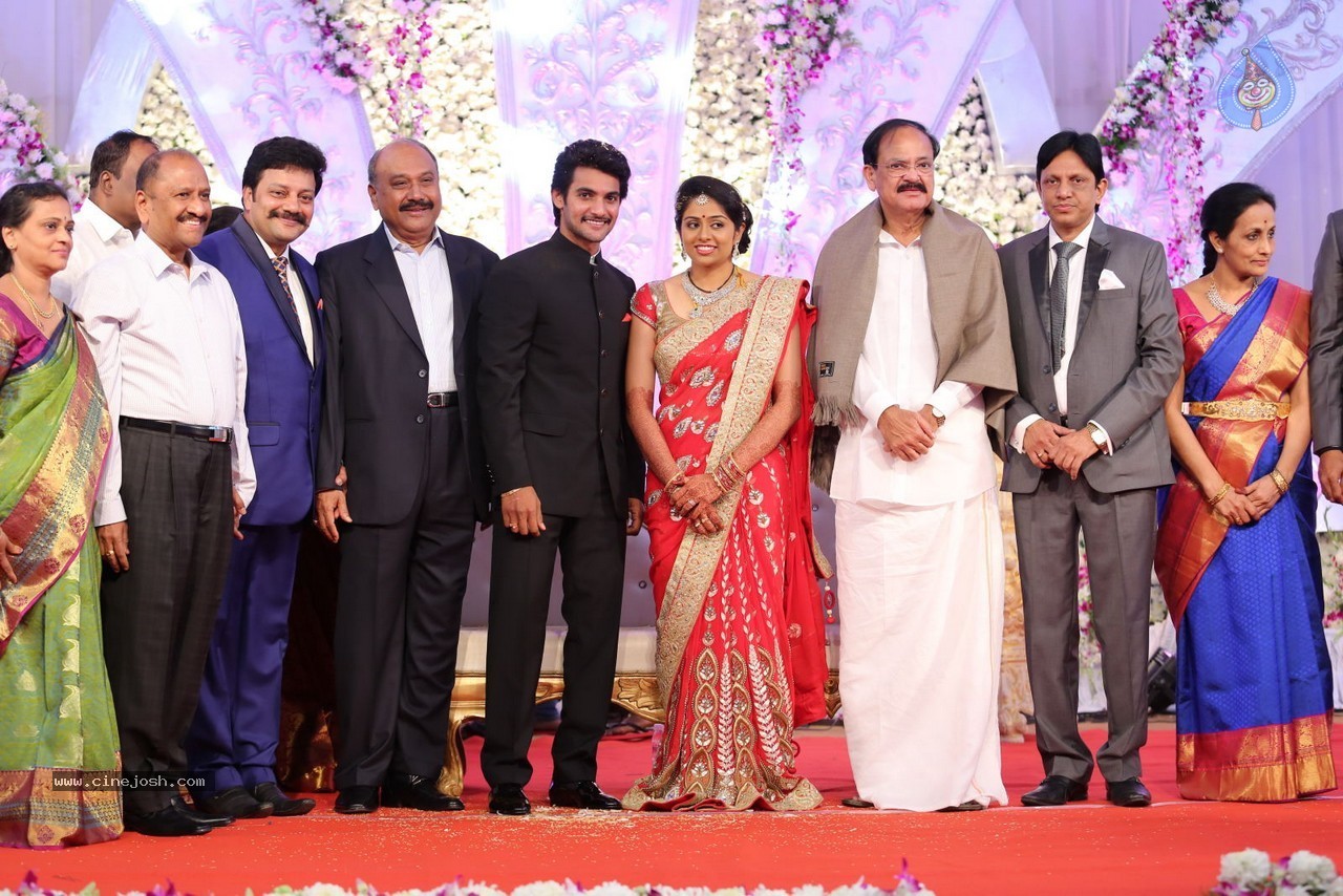 Aadi and Aruna Wedding Reception 02 - 15 / 170 photos