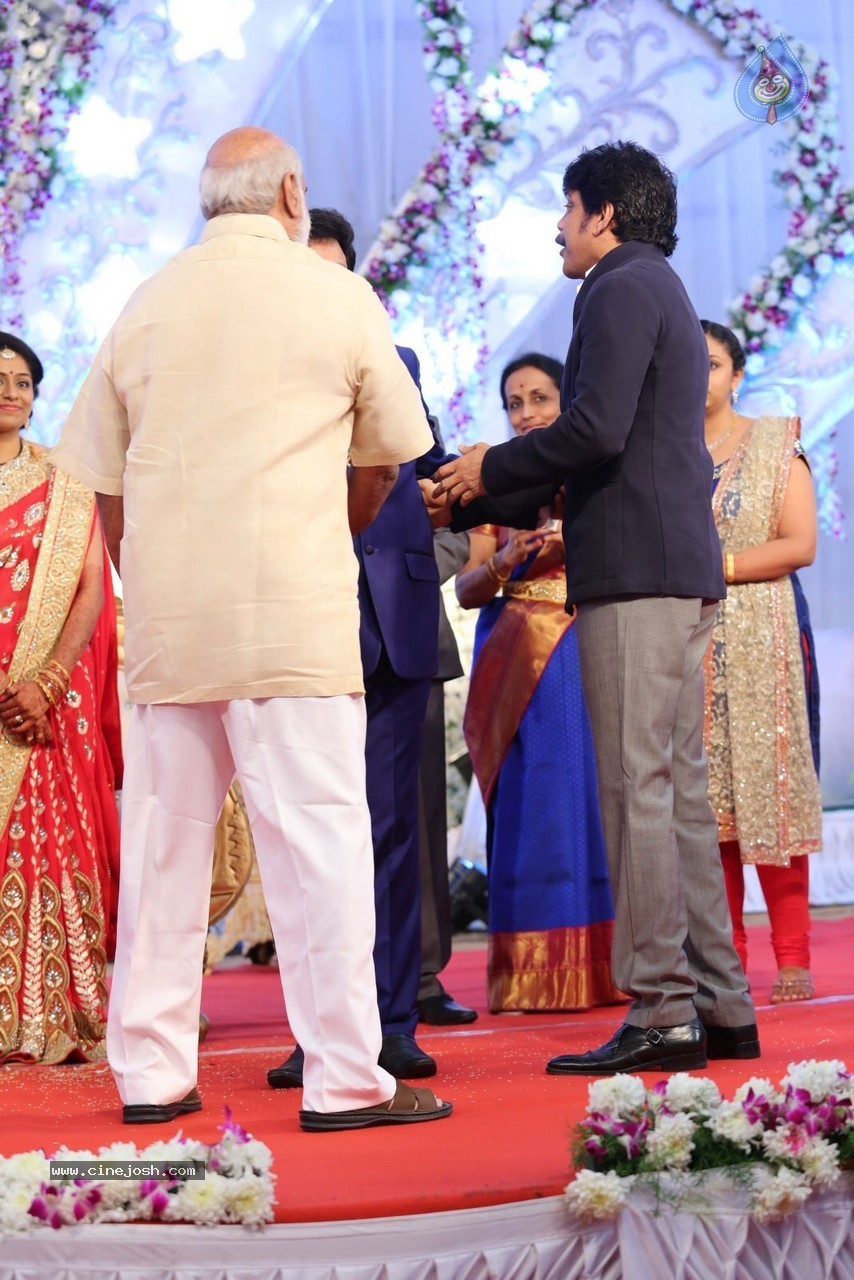 Aadi and Aruna Wedding Reception 02 - 18 / 170 photos
