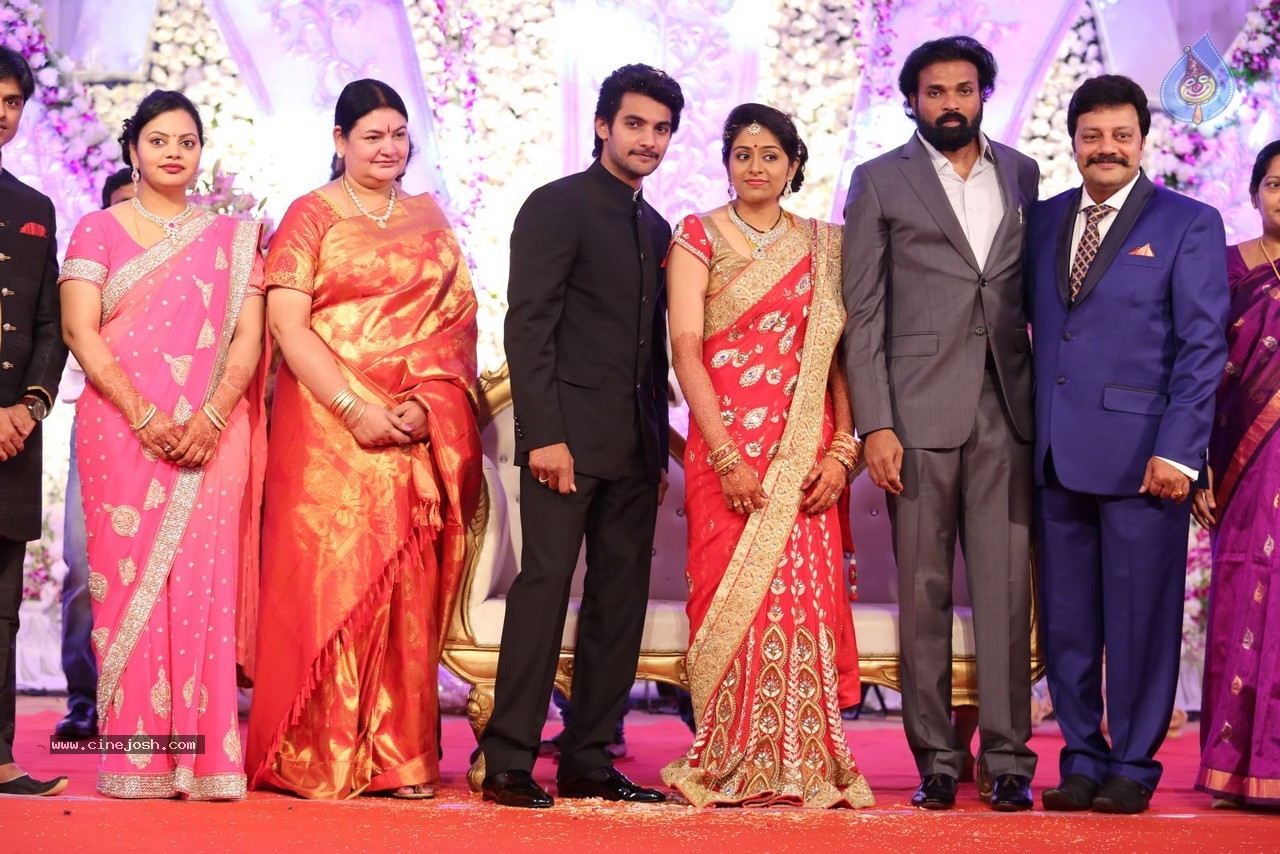 Aadi and Aruna Wedding Reception 02 - 19 / 170 photos