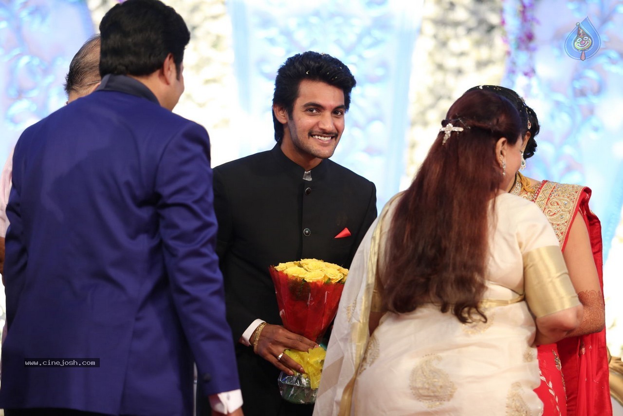 Aadi and Aruna Wedding Reception 02 - 37 / 170 photos
