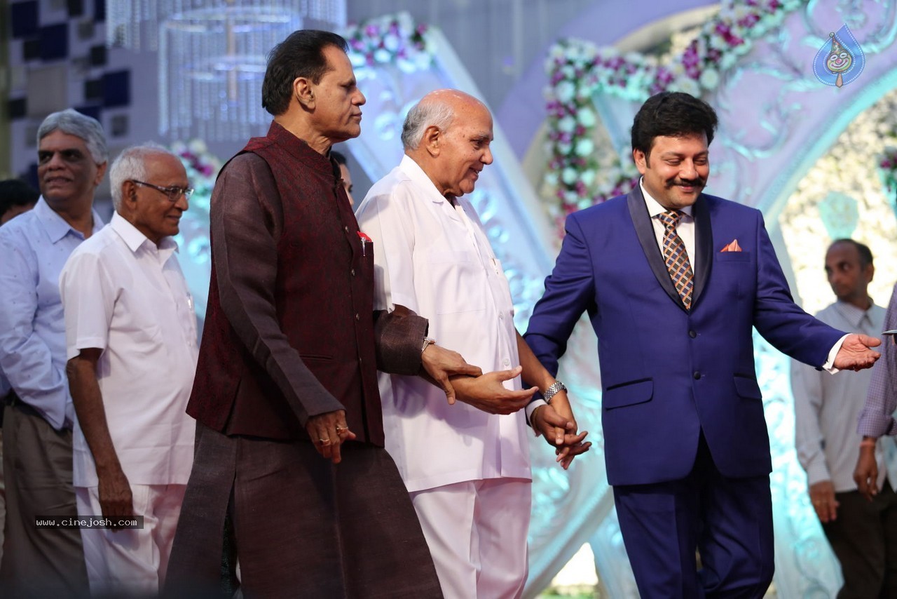 Aadi and Aruna Wedding Reception 02 - 40 / 170 photos