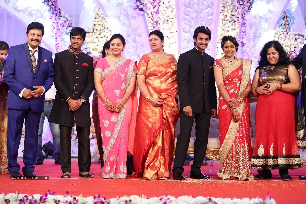 Aadi and Aruna Wedding Reception 02 - 41 / 170 photos