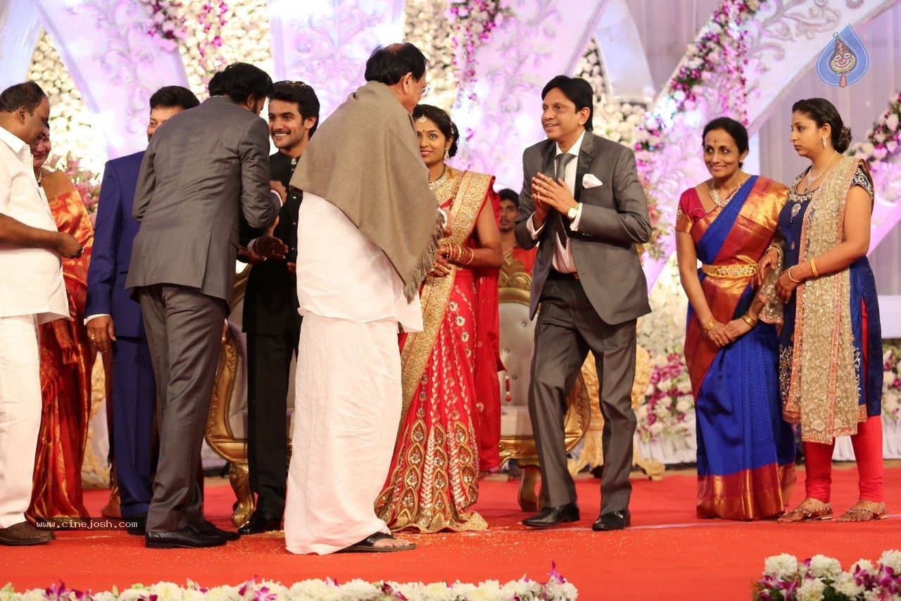 Aadi and Aruna Wedding Reception 02 - 43 / 170 photos