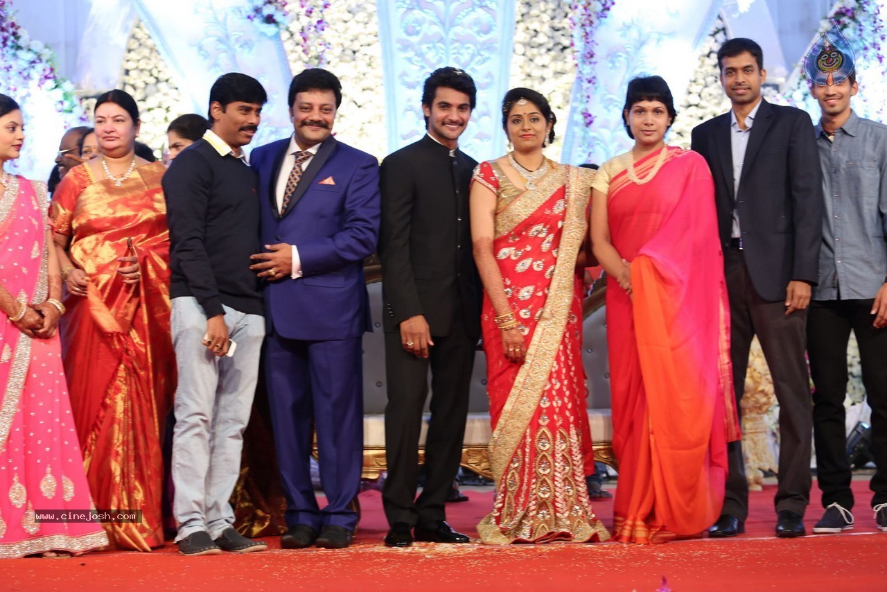 Aadi and Aruna Wedding Reception 02 - 49 / 170 photos