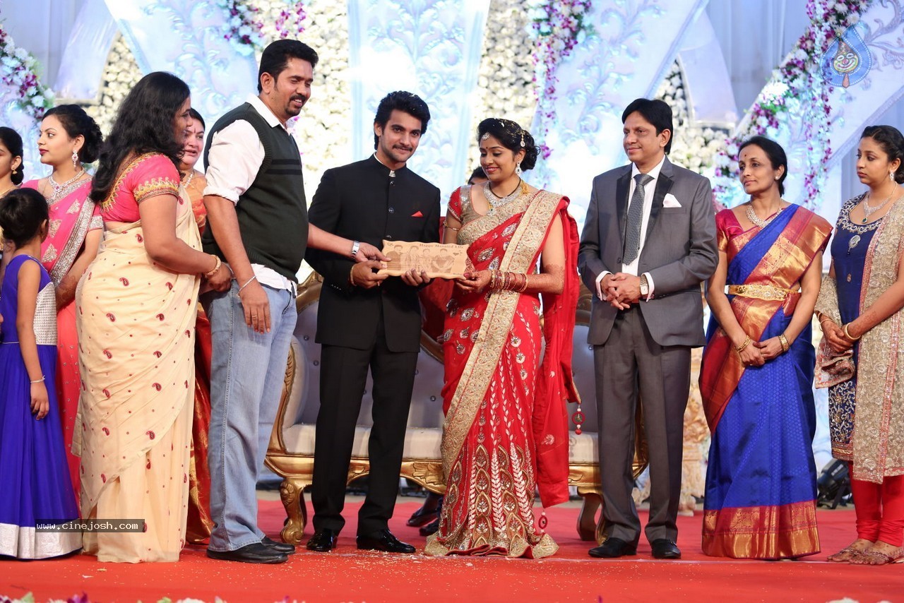 Aadi and Aruna Wedding Reception 02 - 52 / 170 photos