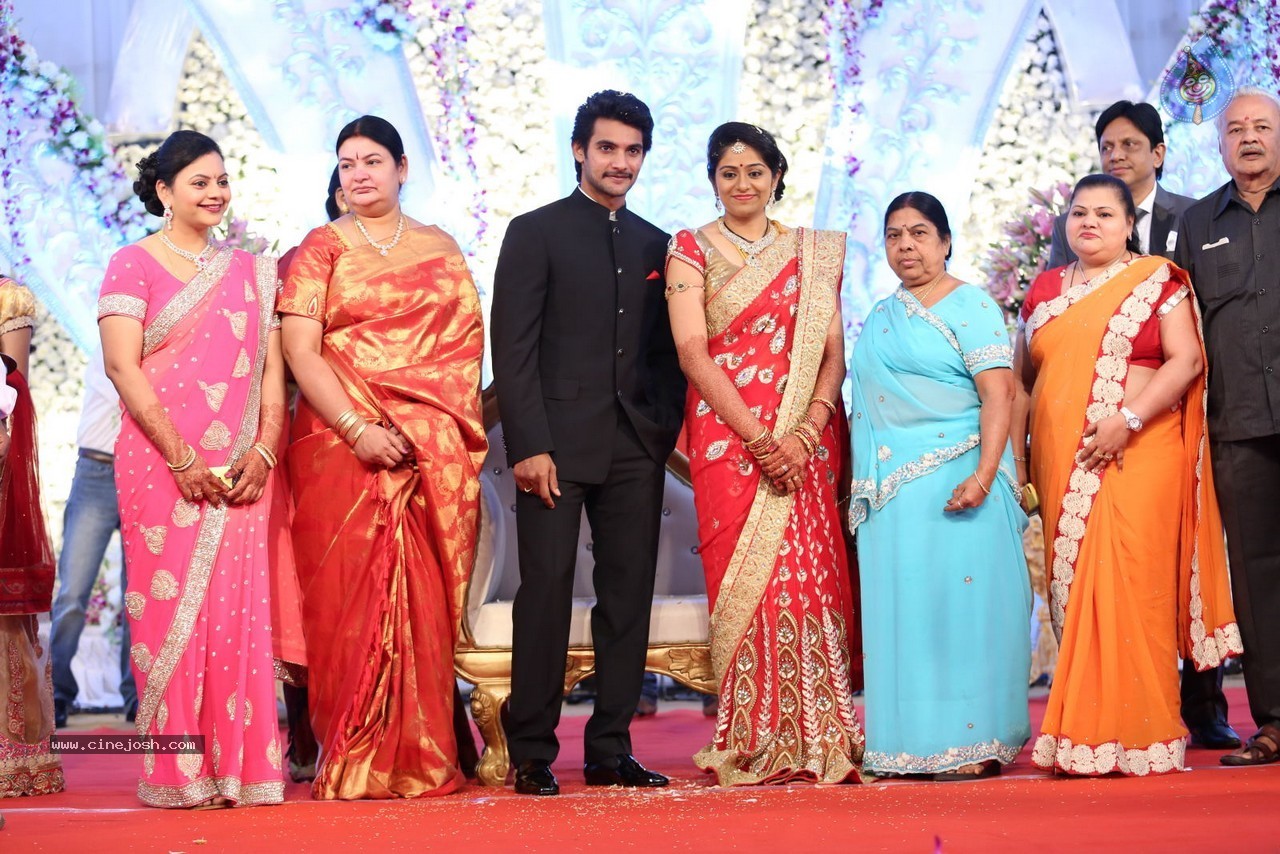 Aadi and Aruna Wedding Reception 02 - 69 / 170 photos