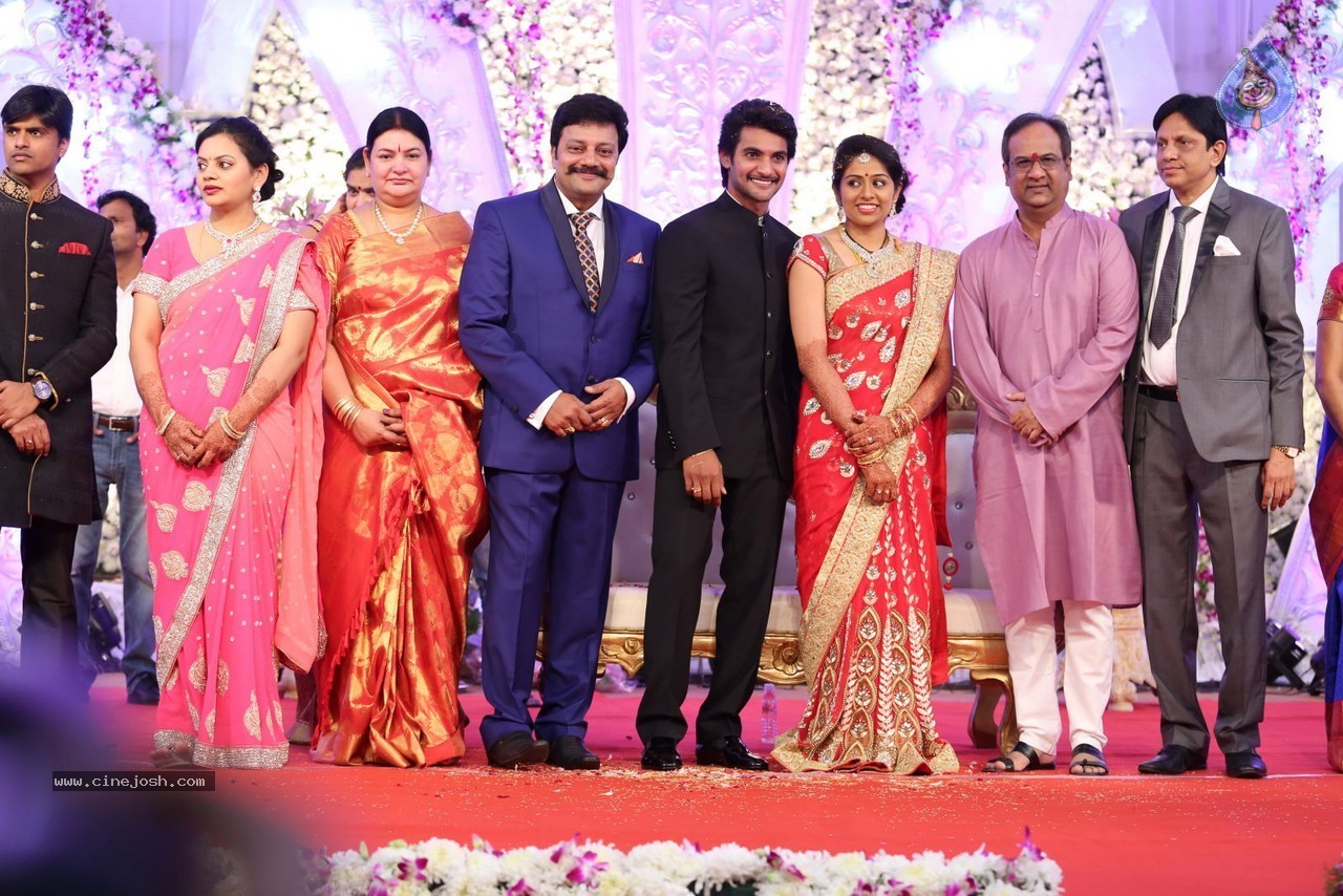 Aadi and Aruna Wedding Reception 02 - 73 / 170 photos