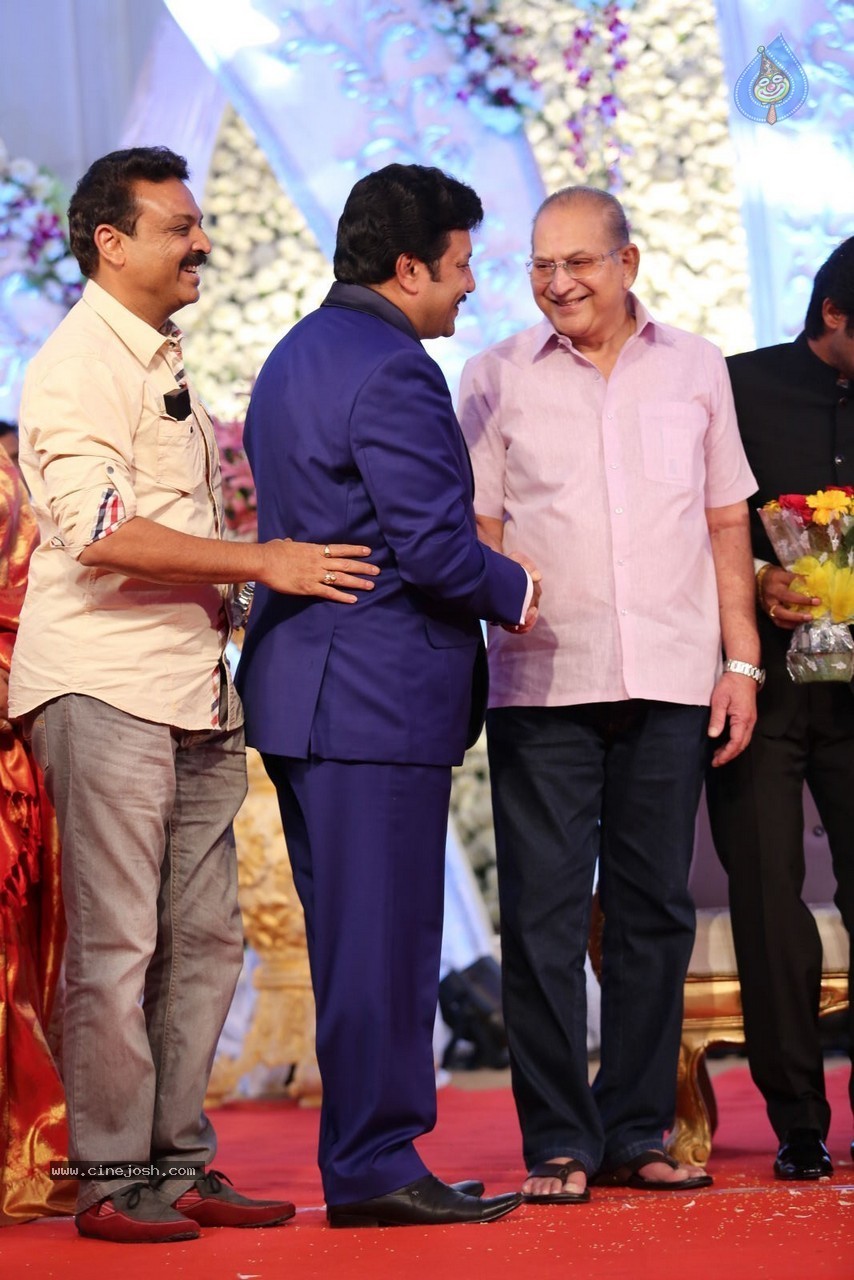 Aadi and Aruna Wedding Reception 02 - 81 / 170 photos