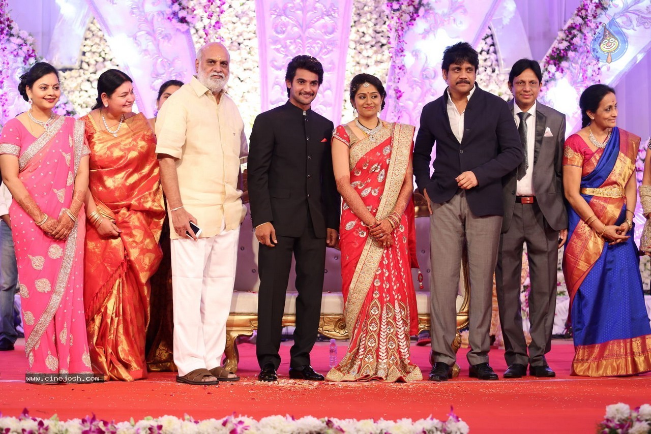 Aadi and Aruna Wedding Reception 02 - 85 / 170 photos