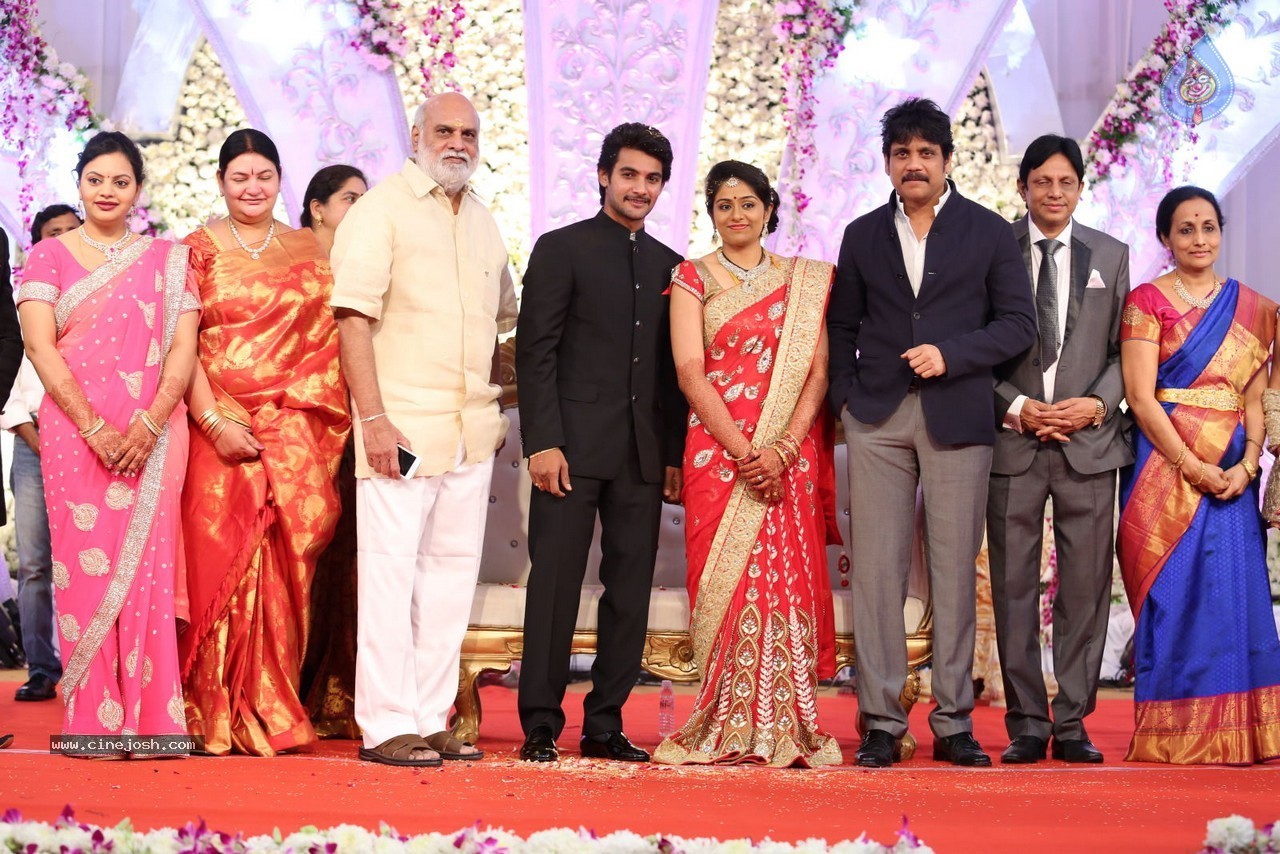 Aadi and Aruna Wedding Reception 02 - 90 / 170 photos