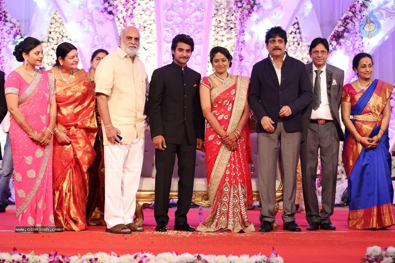 Aadi and Aruna Wedding Reception 02 - 97 / 170 photos