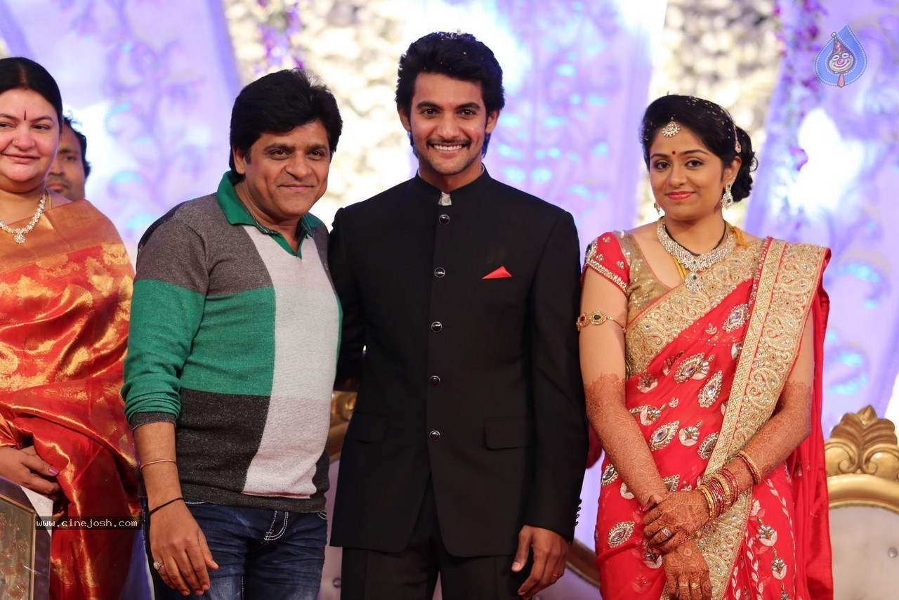 Aadi and Aruna Wedding Reception 02 - 101 / 170 photos