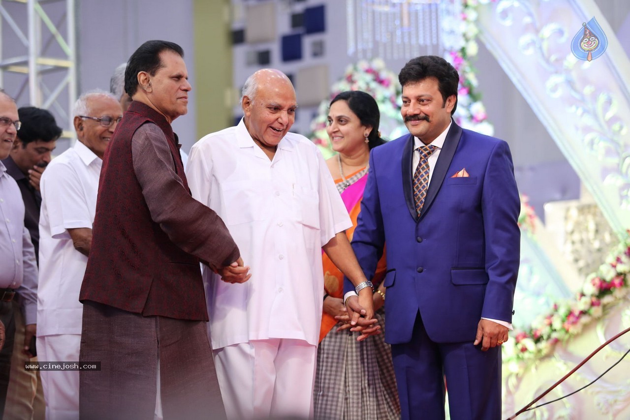Aadi and Aruna Wedding Reception 02 - 103 / 170 photos