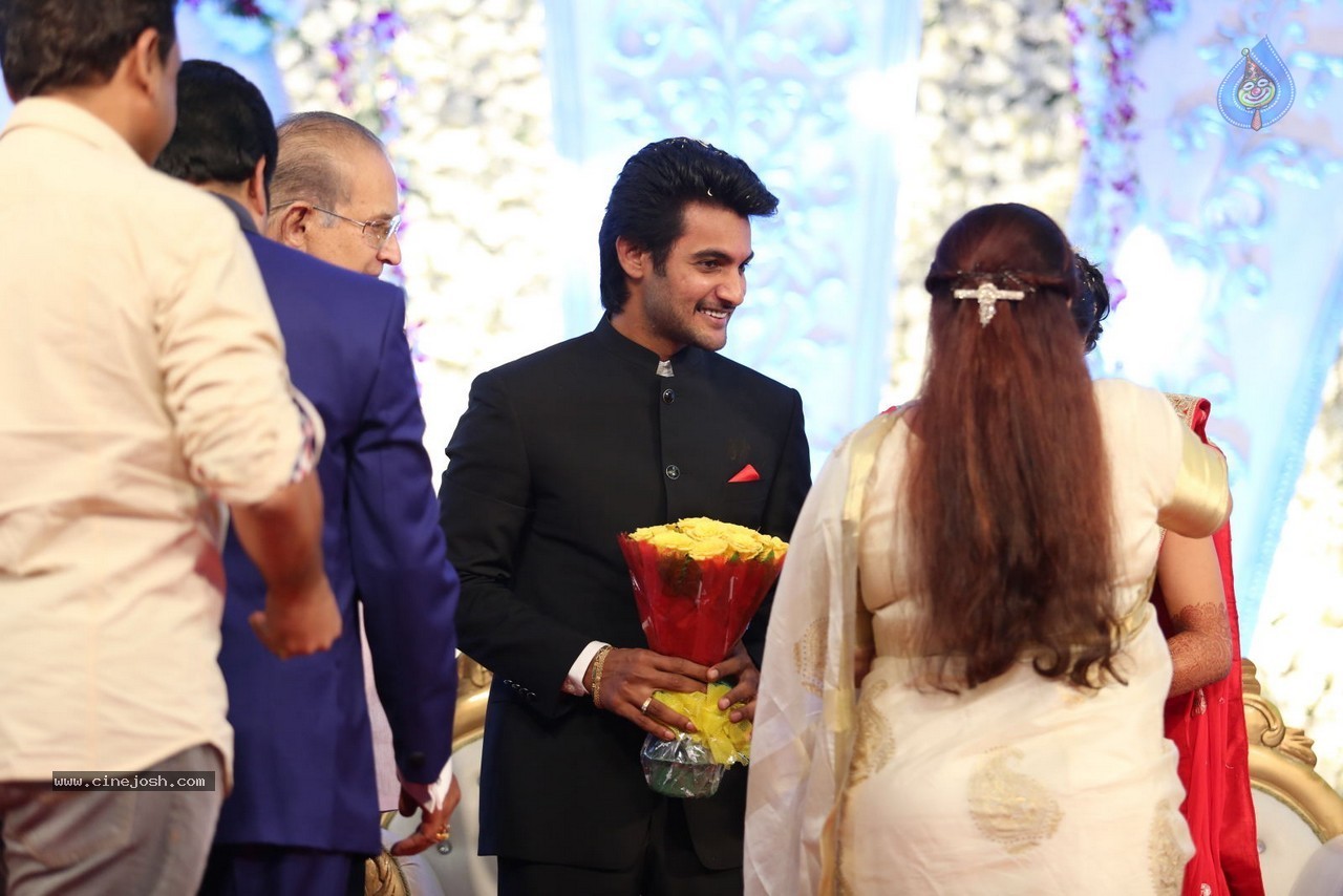 Aadi and Aruna Wedding Reception 02 - 105 / 170 photos