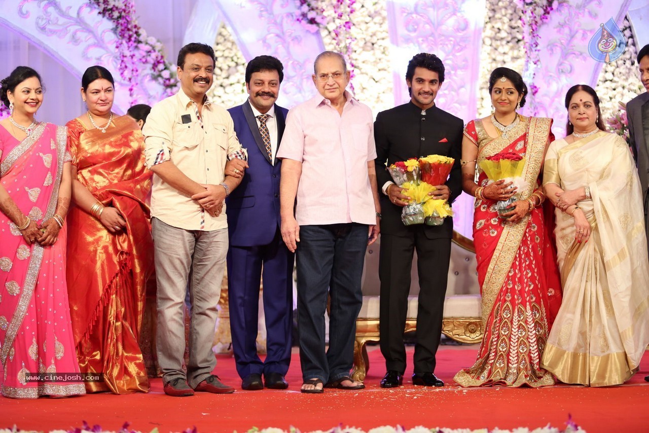 Aadi and Aruna Wedding Reception 02 - 108 / 170 photos