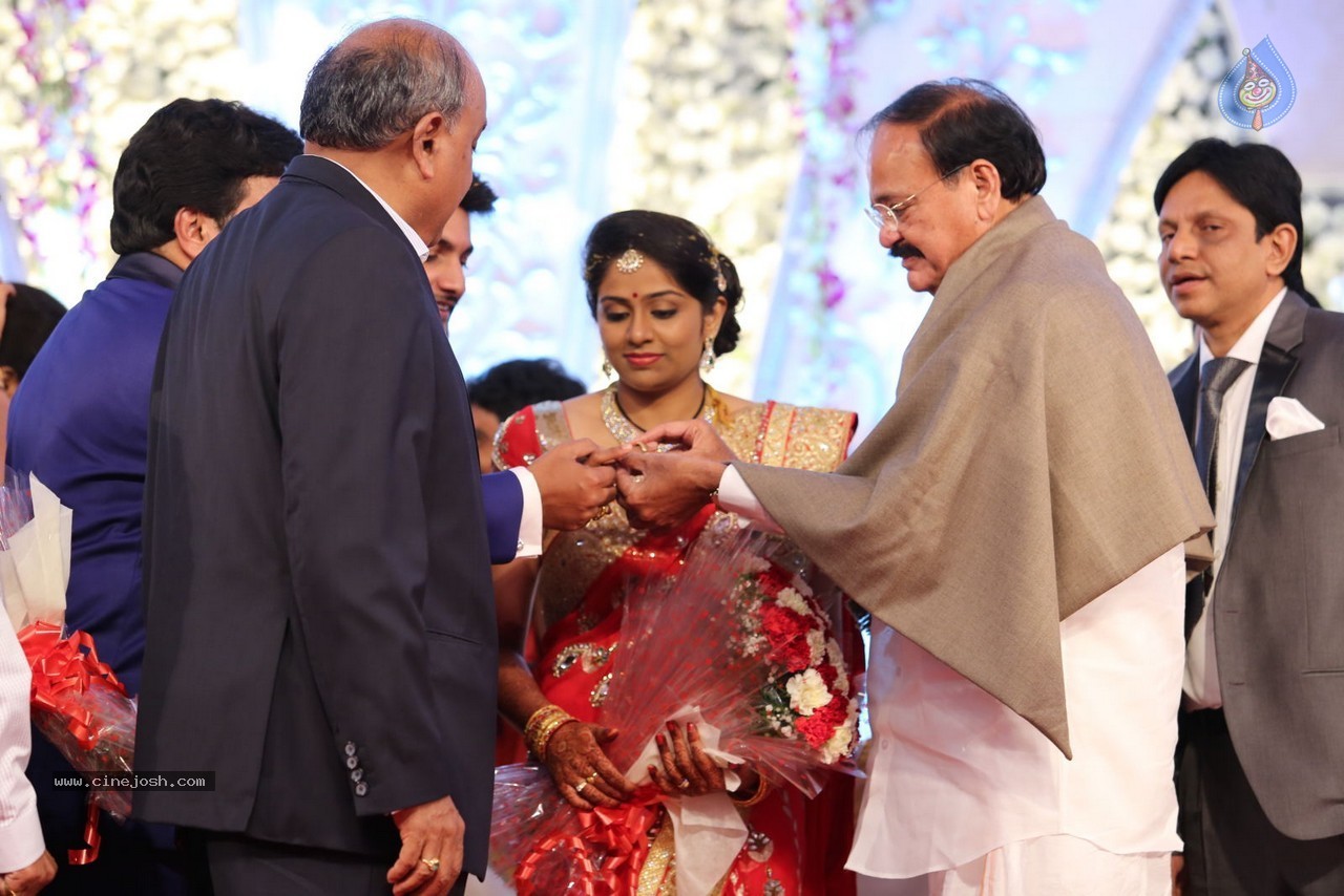 Aadi and Aruna Wedding Reception 02 - 109 / 170 photos