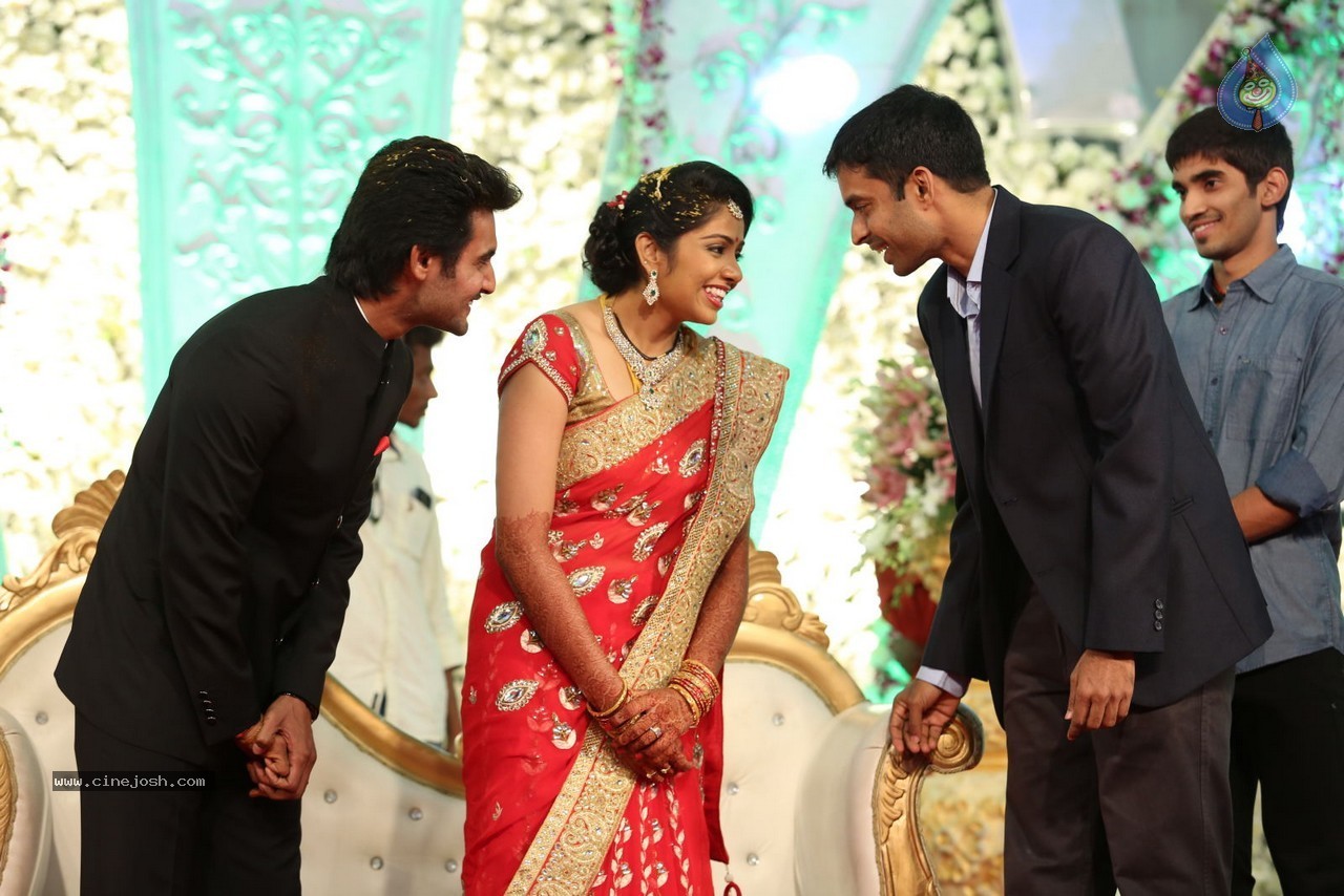 Aadi and Aruna Wedding Reception 02 - 111 / 170 photos