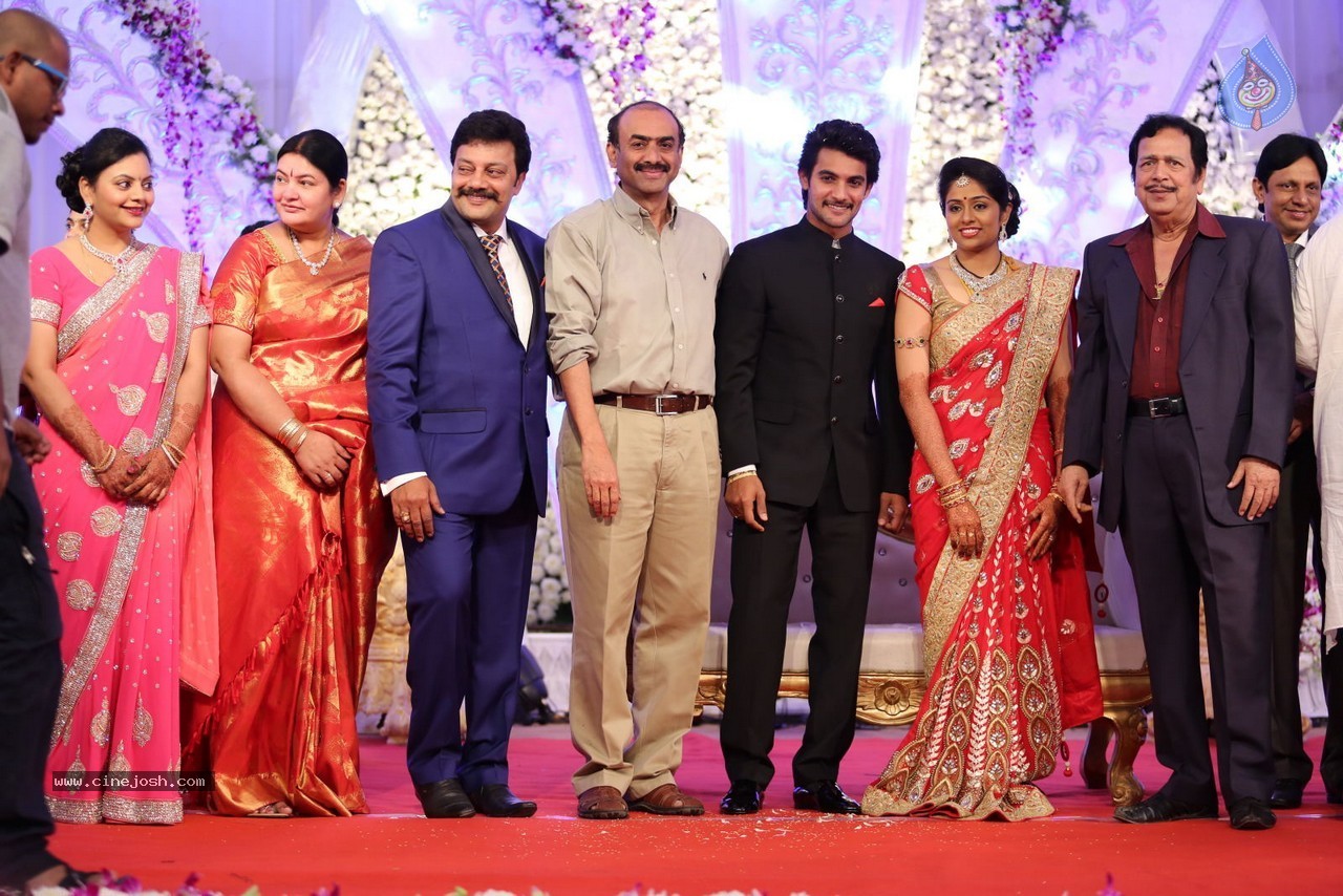 Aadi and Aruna Wedding Reception 02 - 113 / 170 photos