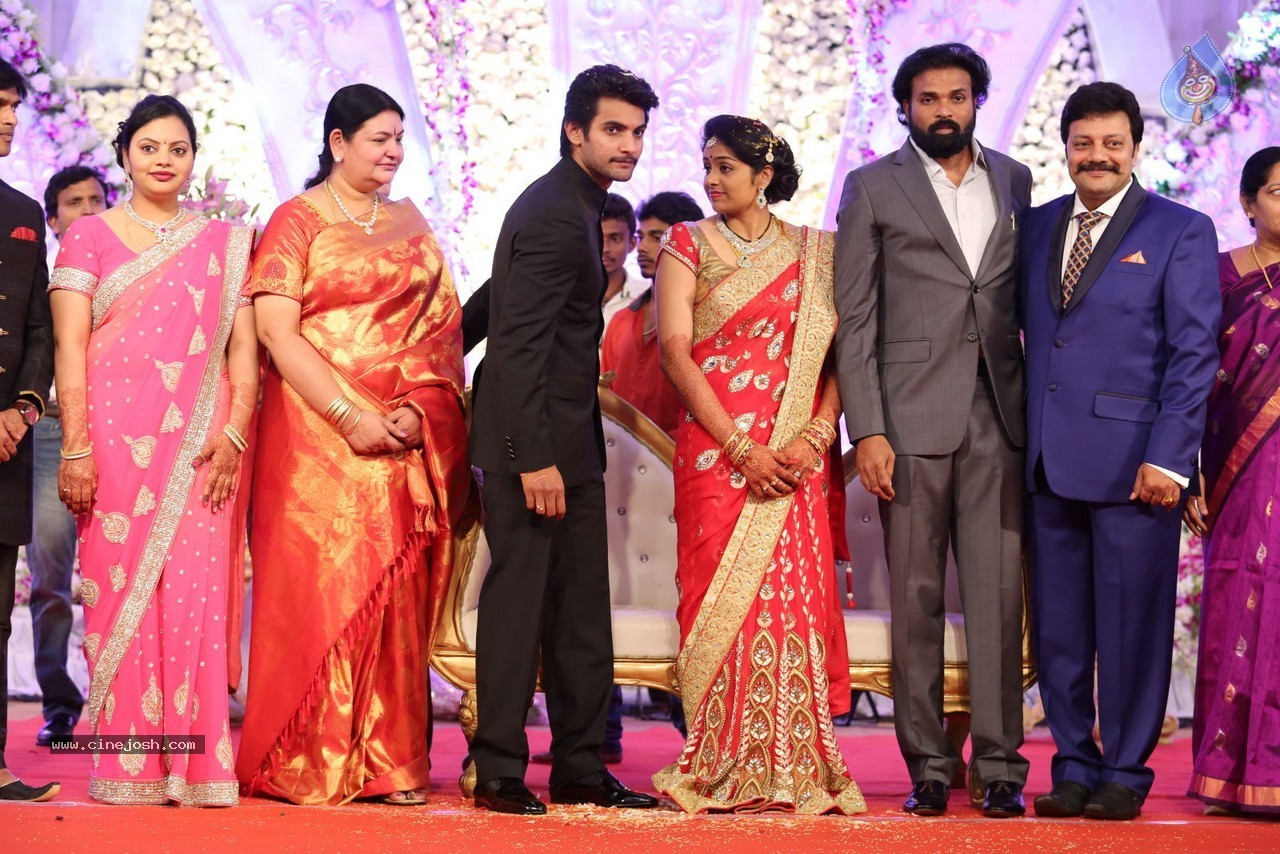 Aadi and Aruna Wedding Reception 02 - 127 / 170 photos