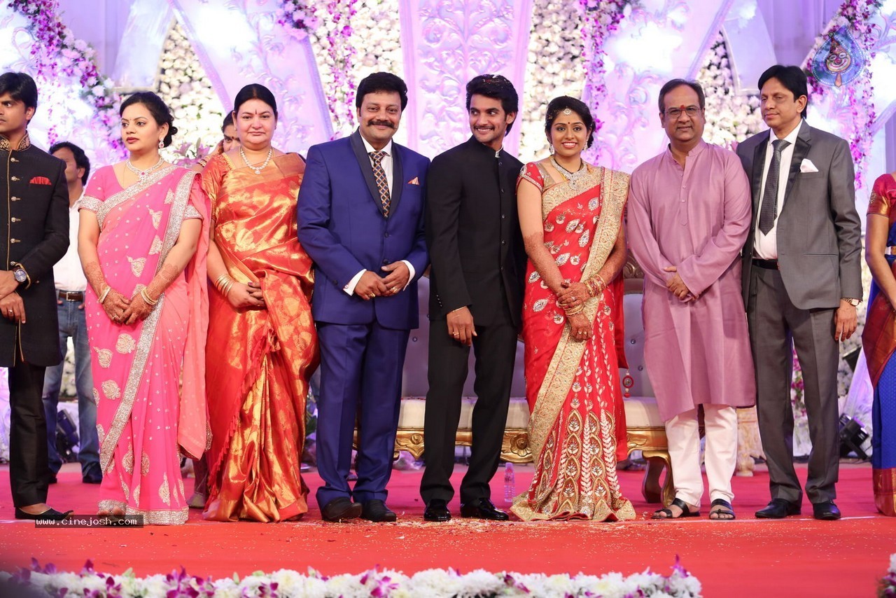 Aadi and Aruna Wedding Reception 02 - 130 / 170 photos