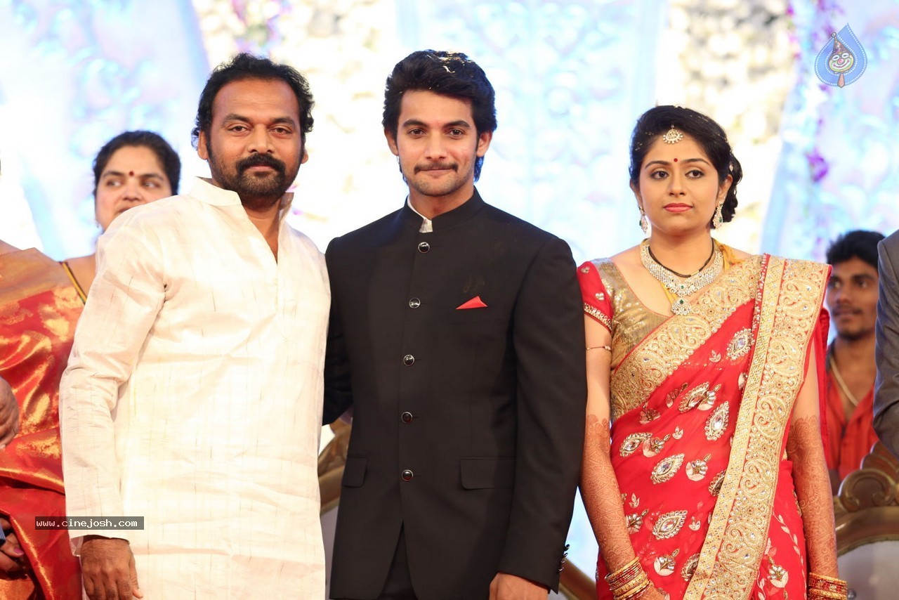 Aadi and Aruna Wedding Reception 02 - 131 / 170 photos