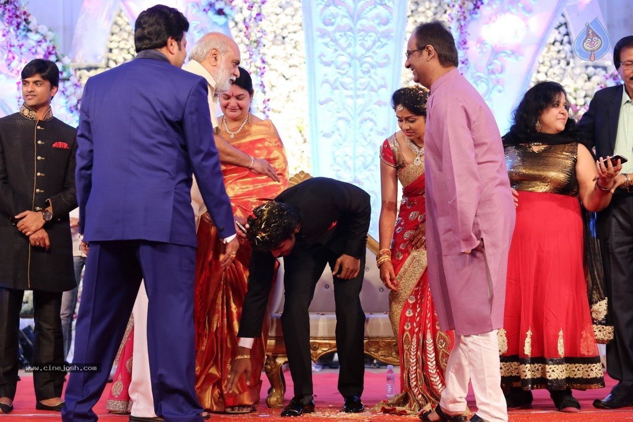 Aadi and Aruna Wedding Reception 02 - 134 / 170 photos