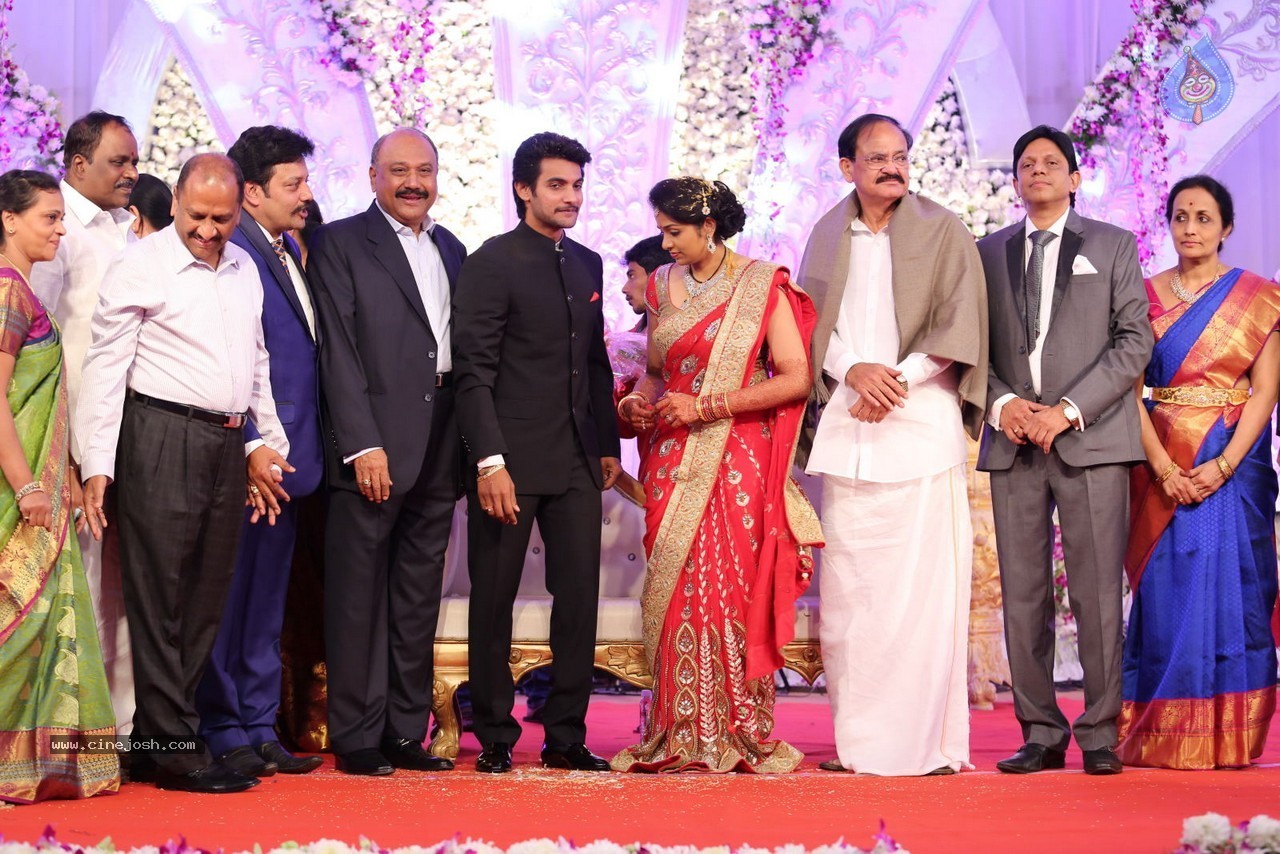 Aadi and Aruna Wedding Reception 02 - 135 / 170 photos