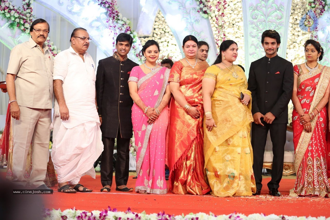 Aadi and Aruna Wedding Reception 02 - 137 / 170 photos