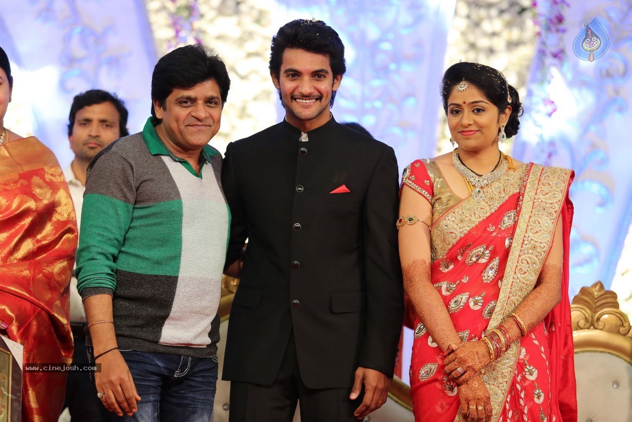 Aadi and Aruna Wedding Reception 02 - 141 / 170 photos